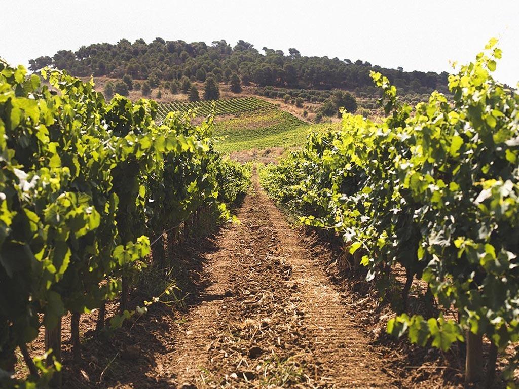 Baglio Caruana Cantina & Relais Montallegro Buitenkant foto